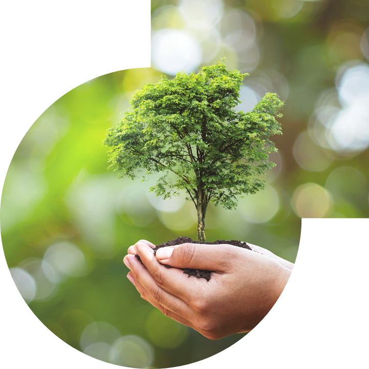 关怀人类、文化、环境与社会